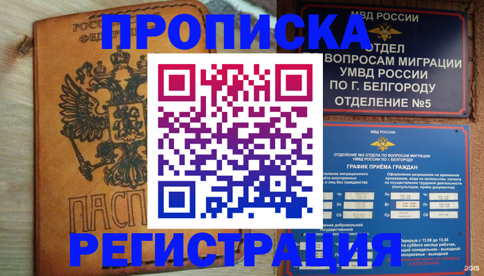 прописка для работы в Щёлкино